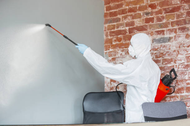Best Mold Removal for HVAC Installations  in Bourbon, IN