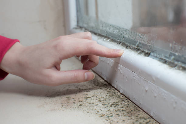 Best Comprehensive Air Testing for Mold Contaminants  in Bourbon, IN