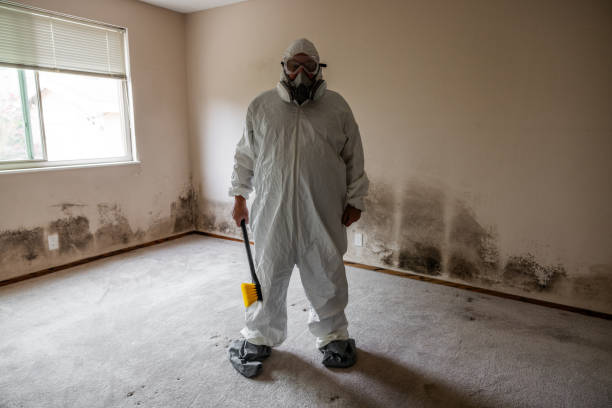 Best Post-Construction Mold Inspection  in Bourbon, IN