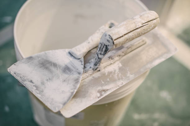 Best Environmental Consulting for Mold Prevention  in Bourbon, IN